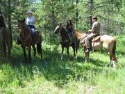 D & S Trails- Guided Horseback Trail Rides